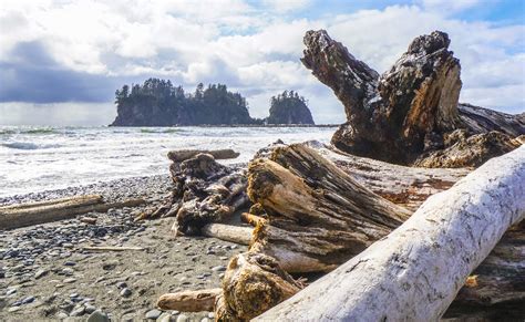 Explore the Rich History of Quileute Indian Reservation
